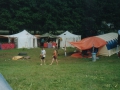 labore03----0108